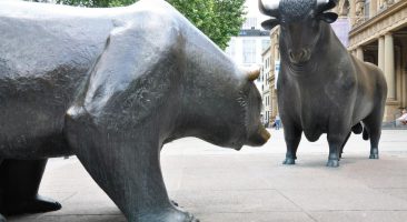 Bear and bull