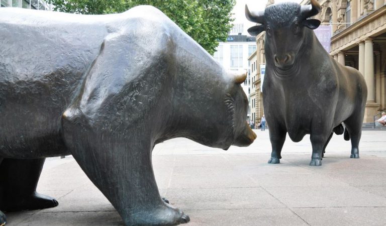 Bear and bull