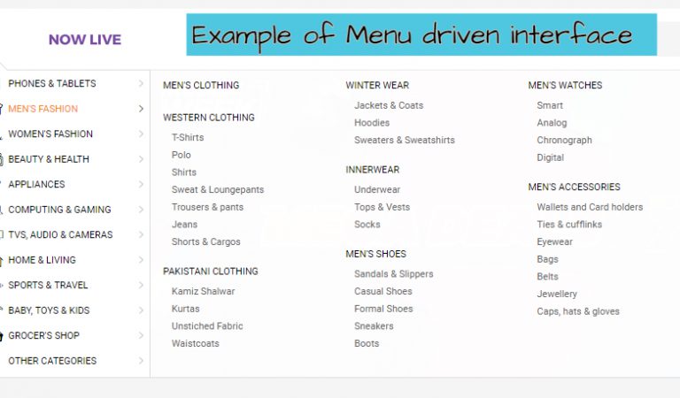 Example of menu driven interface