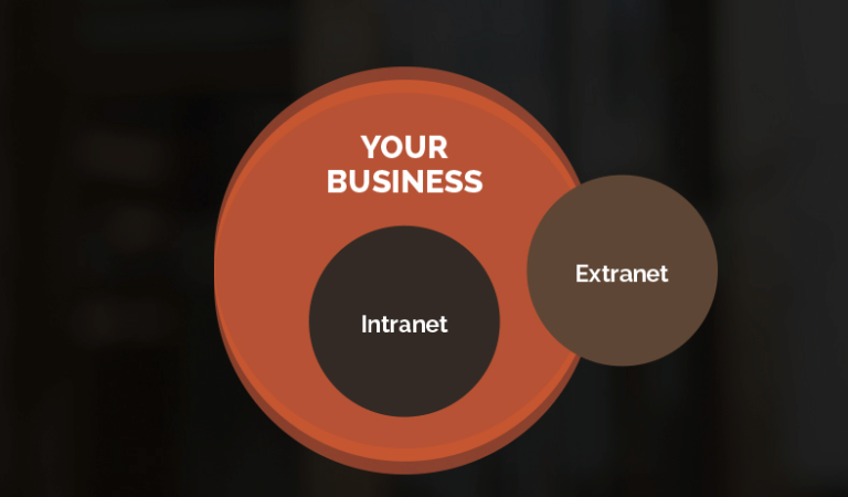 Diagram of intranet and extranet