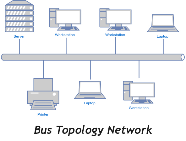 bus topology examples